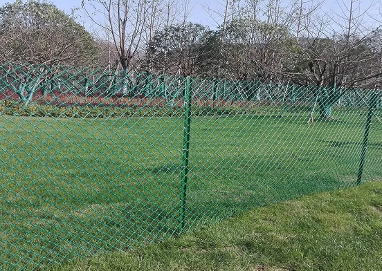 How Does the Rigidity of Diamond Mesh Ensure Effective Dimicatio?