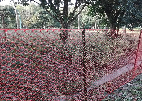 Is Plastic Pultry Netting the Ideal Solution for Pultry Farmers?
