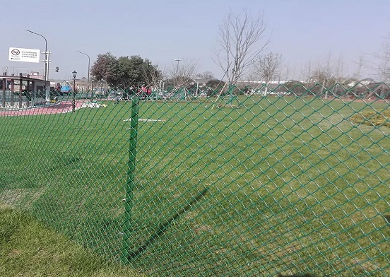 Revamp Your Garden with these Plastic Diamond Mesh Ideas